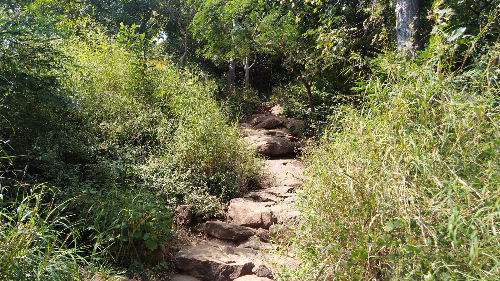 Parvathamalai