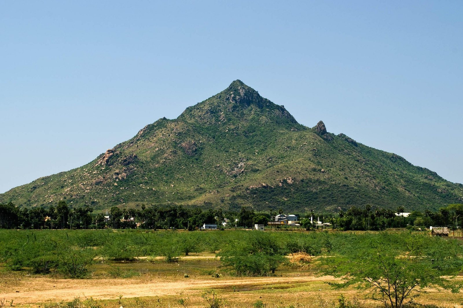Tiruvannamalai
