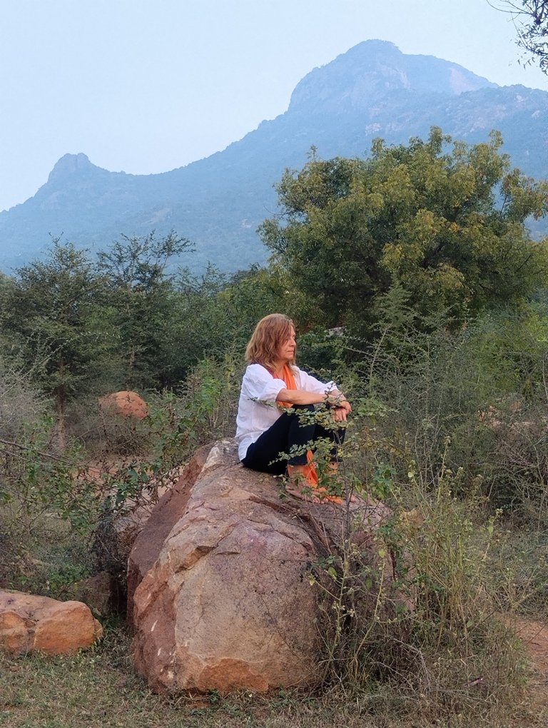 Tiruvannamalai 